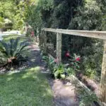 Wood Living Fence of a beautiful garden